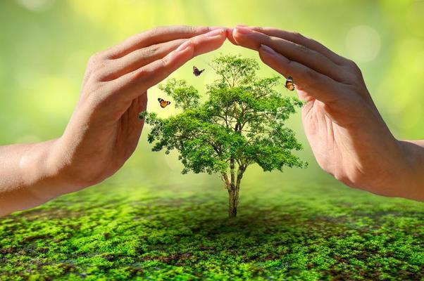 Securing Environment