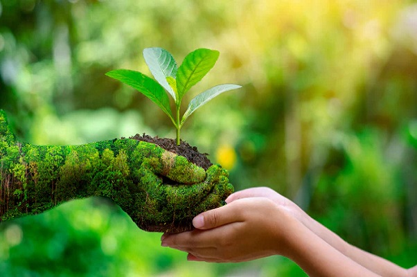 Securing Sustainable Development
